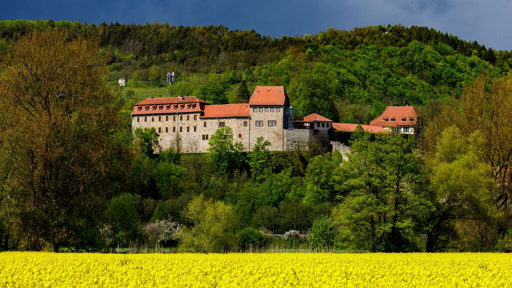 Die Creuzburg - Ansicht mit Bergen und Rapsfeld