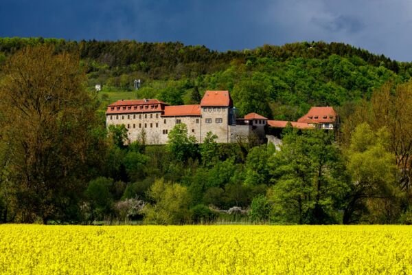 Die Creuzburg - Ansicht mit Bergen und Rapsfeld