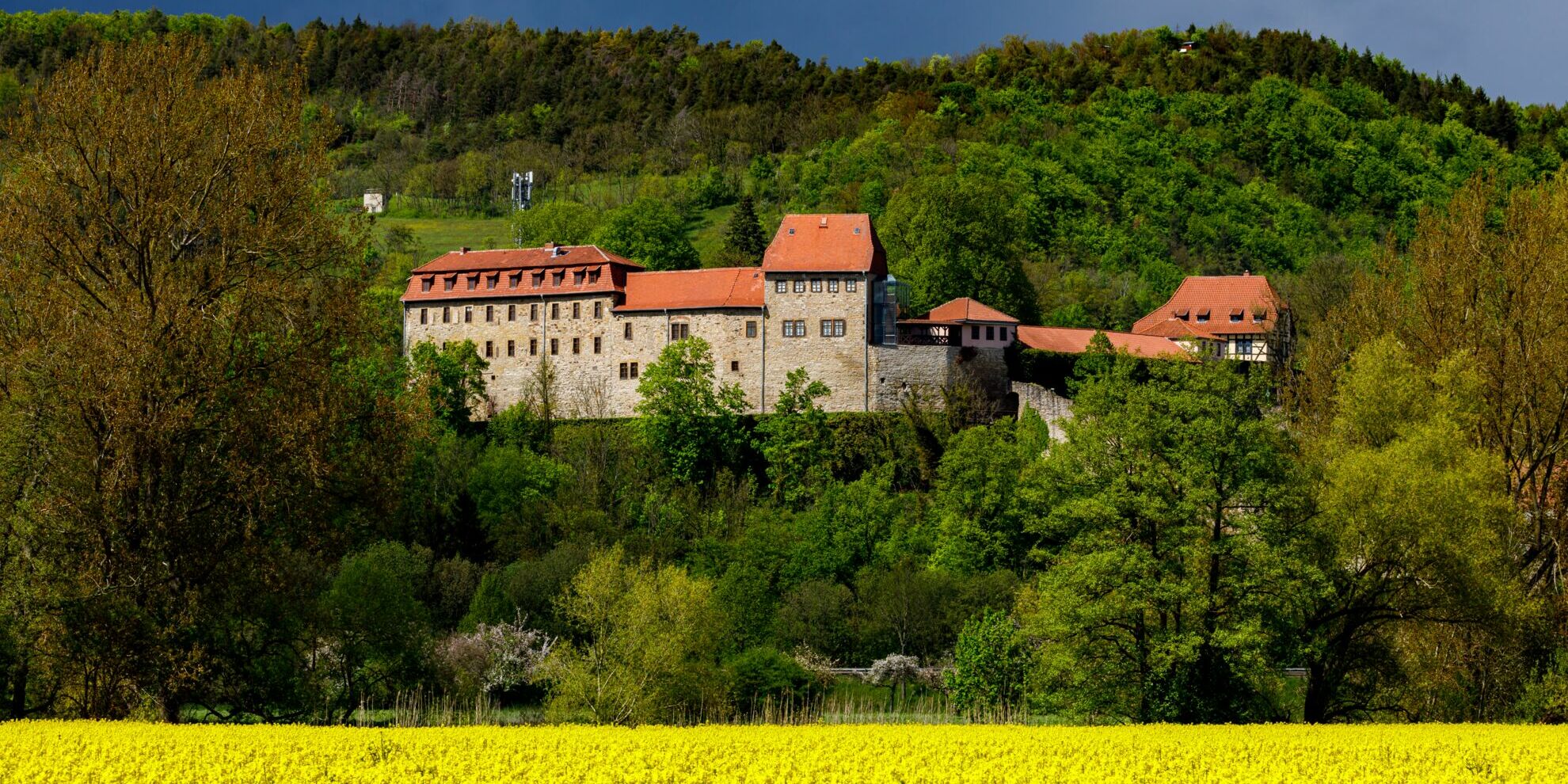 Die Creuzburg - Ansicht mit Bergen und Rapsfeld